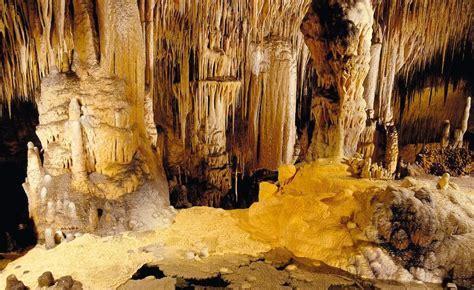 Visit The Cave Of Wonders First Choice
