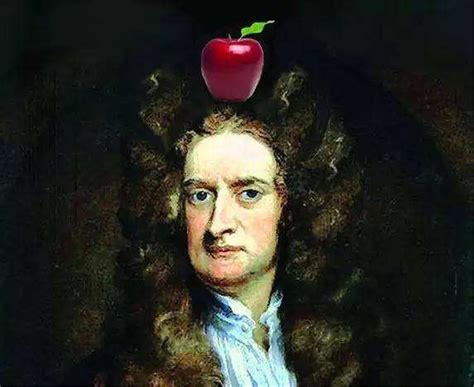 牛顿与苹果的故事（牛顿发现引力和苹果有关？我们被骗300多年，原来没那么简单） 说明书网