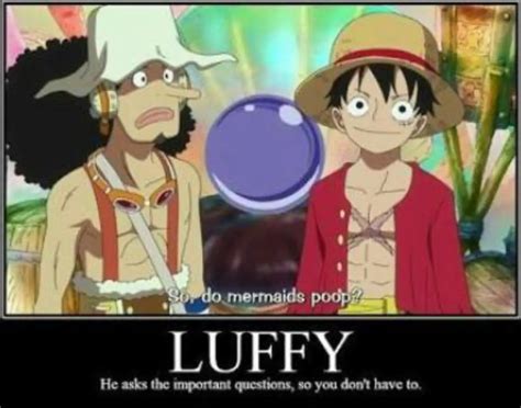 21 Best Of One Piece Memes Of All Time My Otaku World