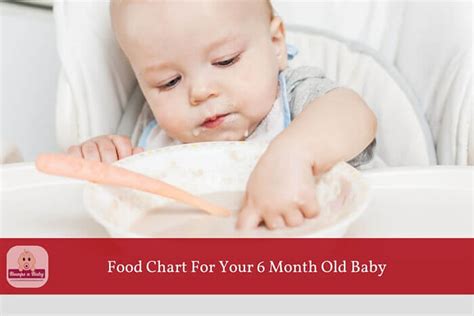 6 month baby food chart australia. 6 Month Old Feeding Schedule (FREE Printable Food Charts)