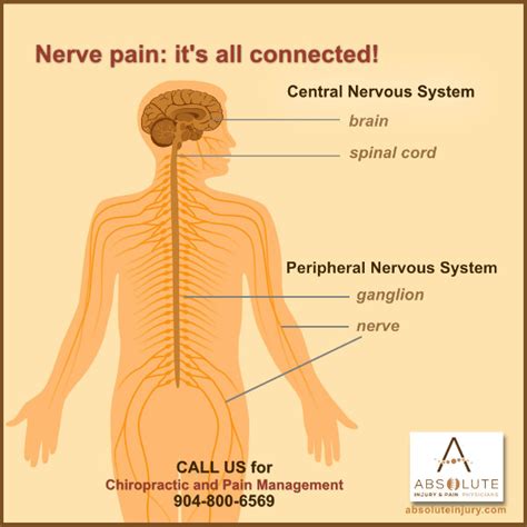 Neck pain usually goes away within a few days or weeks, but pain that persists for months could signal an underlying medical cause that needs to be addressed. Understanding Nerve Pain Through Spine Anatomy - Absolute ...