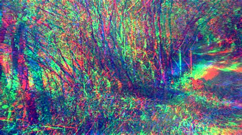 Trippy Forest By Aniabuckle On Deviantart