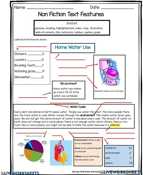 Using Non Fiction Text Features Worksheet By Teach Si