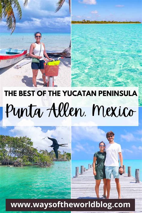 Guide to punta allen how to explore the riviera maya s hidden gem with