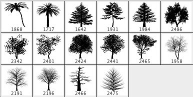 You will need a vector editor to use this file like adobe. TREES PROMO PACK - Photoshop brushes