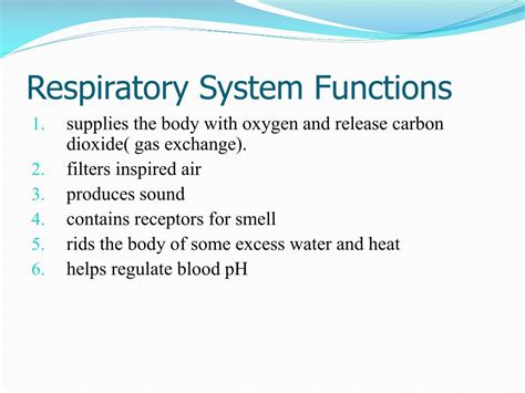 Ppt Respiratory Infections Powerpoint Presentation Free Download