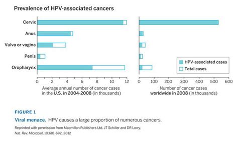 Hpv Vaccines For Cancer Prevention Lasker Foundation