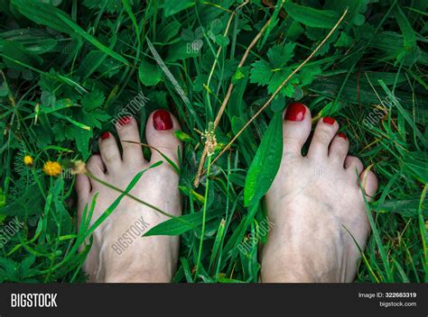 Barefoot Womens Feet Image And Photo Free Trial Bigstock