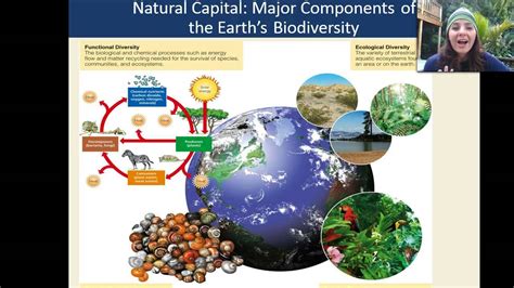 The Importance Of Biodiversity Introduction To Biodiversity Center