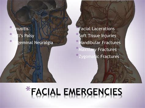 Ppt Facial Dental Ear Nose And Throat Emergencies Powerpoint