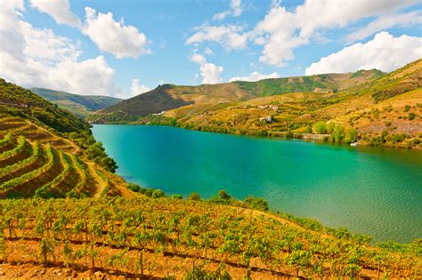 Wine Experience Private Tour To Douro Valley From Porto Douro Valley