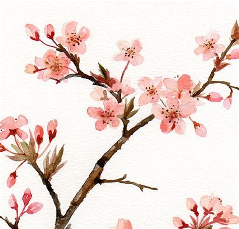 Flower Watercolor Spring Blossom Floral Art Watercolor Painting