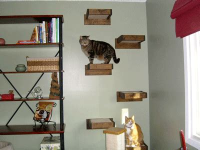 Diy cat perch | step by step tutorial. Cat Perches For Sale | Interior Design Ideas