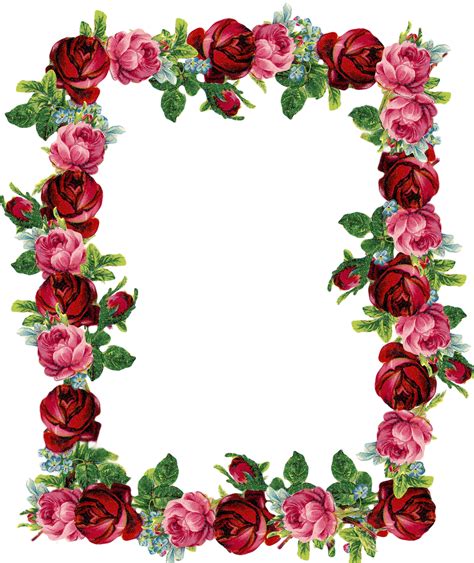 Free Digital Vintage Rose Frame And Border Png Gorgeous Red