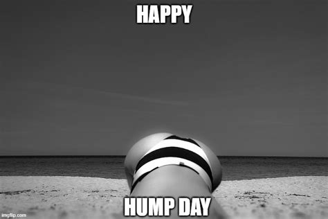 Happy Hump Day Imgflip