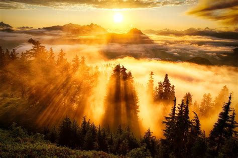 Wallpaper Sunlight Landscape Forest Mountains Sunset Nature