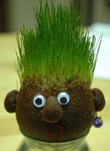 Mommy Blog Expert Grass Head Kids Diy Earth Day Craft