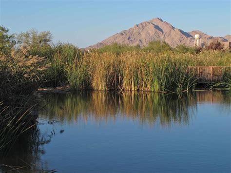 Clark County Wetlands Park Dogs Running And Trails Map Las Vegas