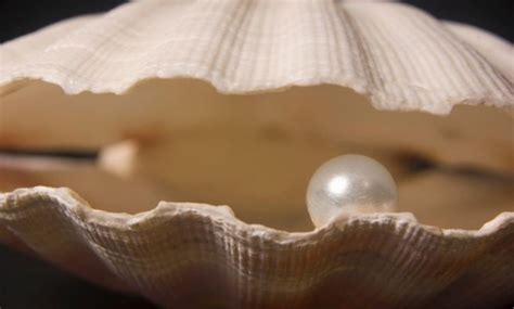 How Do Pearls Form Juliana Jewellery