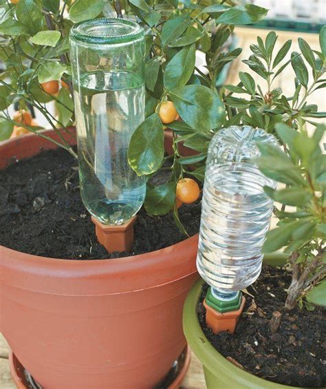 Diy Self Watering Planter Self Watering Containers Self Watering