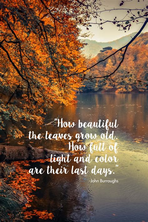 Free Autumn Quote Printables Rose Clearfield
