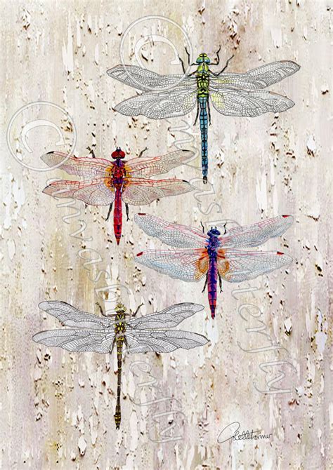 Dragonflies Print Dragonfly Illustration Dragonfly Design Wall Etsy
