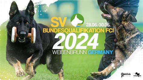 SV Bundes FCI 2024 Fero vom Weggefährten Udo König working dog