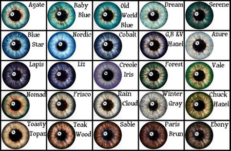 What Is The Rarest Eye Color Chart