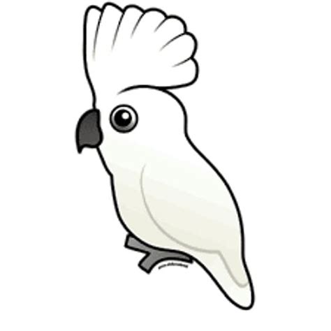 Burung lovebird merupakan salah satu burung peliharaan yang populer di indonesia. 25+ Inspirasi Keren Sketsa Gambar Burung Love Bird - Tea ...