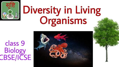 Diversity In Living Organisms Class 9 Biology Cbseicse Youtube
