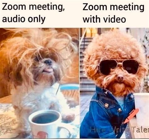 Zoom Meeting Meme Background 99 Funny Zoom Virtual Backgrounds To