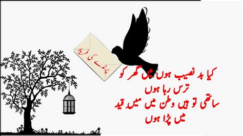 Poetry Of Allama Iqbal For Studentsparinday Ki Faryadchildrens Poems