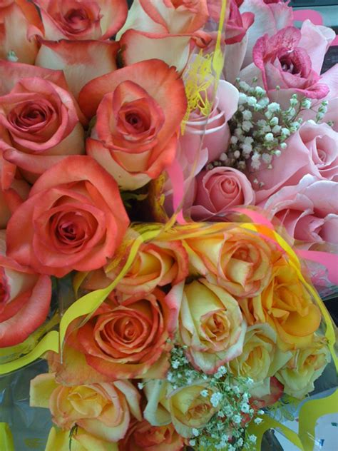 Maybe you would like to learn more about one of these? Cheap roses and pretty flowers-produce junction | Pretty ...