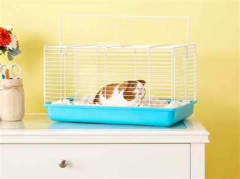 Best 6 Guinea Pig Travel Cages You Can Use In 2021 Reviews