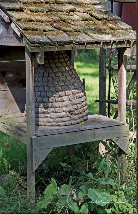 Sheltered Bee Skep Bee Garden Cottage Garden Garden Art Garden Ideas