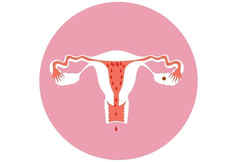 Schwangere frauen können eine ausgeprägte abneigung nicht nur gegen bestimmte gerüche, sondern auch gegen zuvor als angenehm empfundene düfte entwickeln. 34 Best Pictures Wann Kann Frau Schwanger Werden - Wann ...
