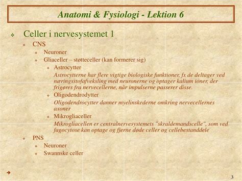 Ppt Anatomi Fysiologi Vi Nervesystemet Powerpoint Presentation Id 9490