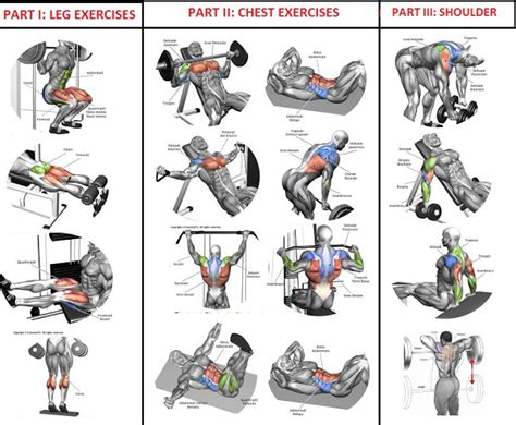 Want to find a way to work your biceps? 10 Sets of 10 Reps Workout Program For Quick Muscle ...