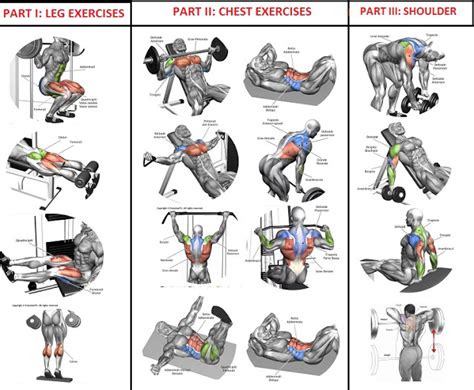 Freetrainers.com has a vast selection of exercises which are used throughout our workout plans. 10 Sets of 10 Reps Workout Program For Quick Muscle ...