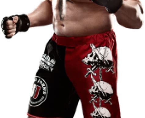 Brock Lesnar Png Transparent Images Wwe Brock Lesnar Attire Free