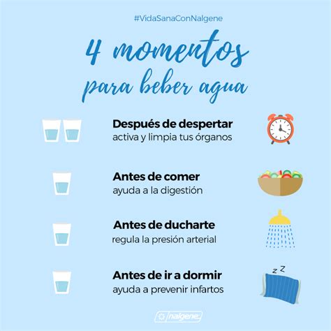 Los 5 Mejores Momentos Del Día Para Beber Agua En Casa Nalgene