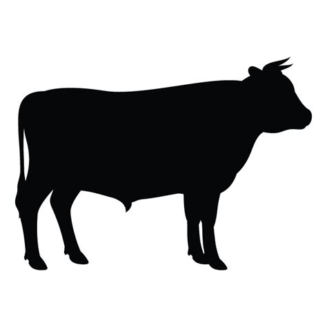 Clip art Vector graphics Angus cattle Silhouette Holstein Friesian cattle - clip art cattle png ...