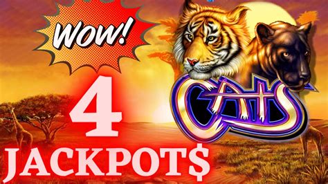 Omg 4 Handpay Jackpots On High Limit Cats Slot Machine Youtube