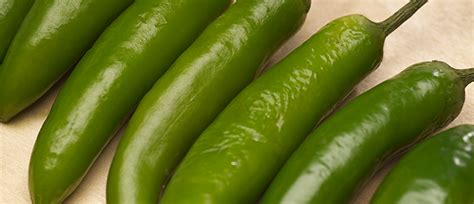 Additionally, there is a chance this increase will be extended through june 2021. Jalapeño Shelf Life: How Long Do Jalapeño Last? - Fresher ...