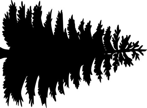 Large Pine Tree Clip Art At Vector Clip Art