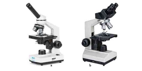 Kenali Bagian Bagian Mikroskop Cara Menggunakannya Yuk Biologi