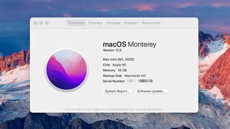 Check Which Macos Versions Your Mac Is Compatible With