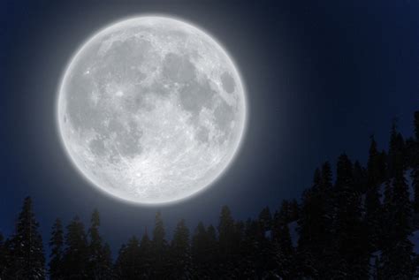 ما هو خسوف القمر وكيف يحدث ؟ تفسير حلم القطة في المنام. تفسير حلم رؤية القمر في المنام