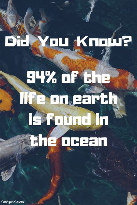 Ocean Facts Marine Life Save The Oceans Fun Cacts Fun Facts Ocean