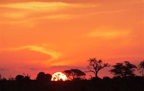 African Sunset In The Okavango Delta By Buena Vista Images